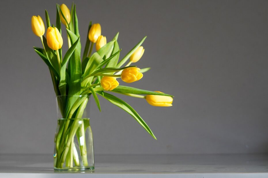 Flores Siempre Frescas: Trucos Caseros Para Prolongar su Belleza